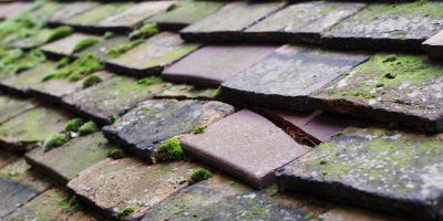 Burnett roof repair costs